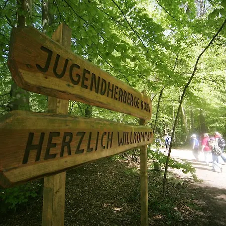 Djh Born-ibenhorst * Born